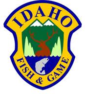 Spring Black Bear Results Available Online in Idaho