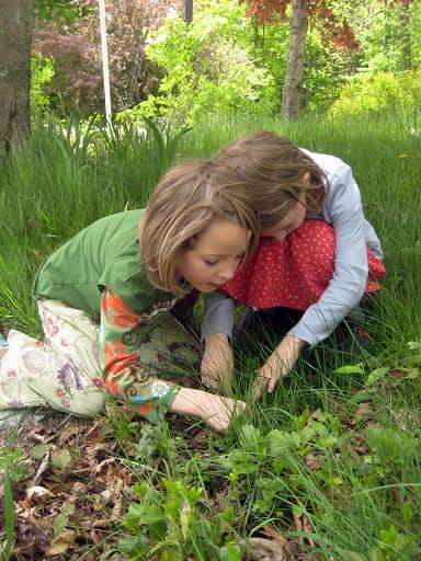 New Hampshire Children in Nature Conference October 4: “Discovering Nature Wherever You Are”