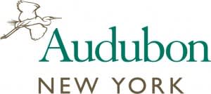 Audubon New York Praises Governor Cuomo and The Nature Conservancy for Historic Adirondack Land Protection