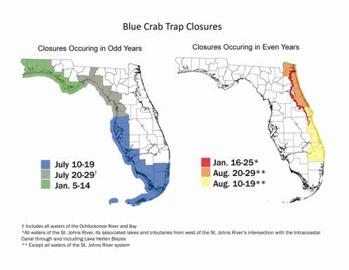 Florida East Coast Blue Crab Trap Closure Ending Early