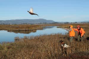 CDFG to Offer Upland Game Hunting Clinic in Southern California