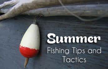 This week on The Revolution: Summer Fishing Tips and Tactics
