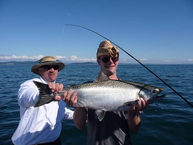 Effort to Catch Salmon Drops in Pacific Northwest in Last Weeks of Season