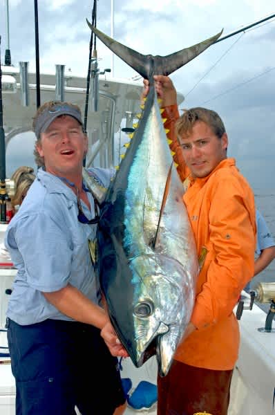 Tuna  Battle of the Big Boys