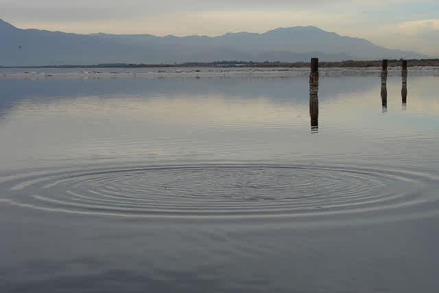 Rancid Southern California Stench Determined to Come from Fish Die-off in Salton Sea