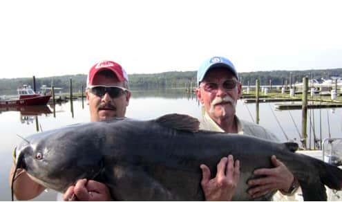 New Record Blue Catfish in Maryland