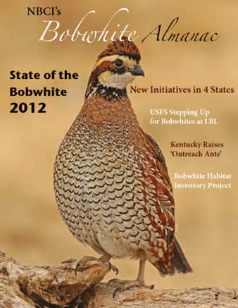 NBCI’s Bobwhite Almanac: State of the Bobwhite 2012 Highlights New State Initiatives, National Native Grass Agenda