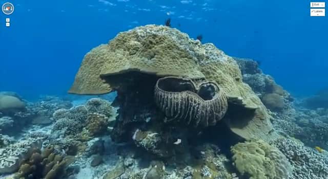 Google Unveils “Street-view” for Australia’s Great Barrier Reef