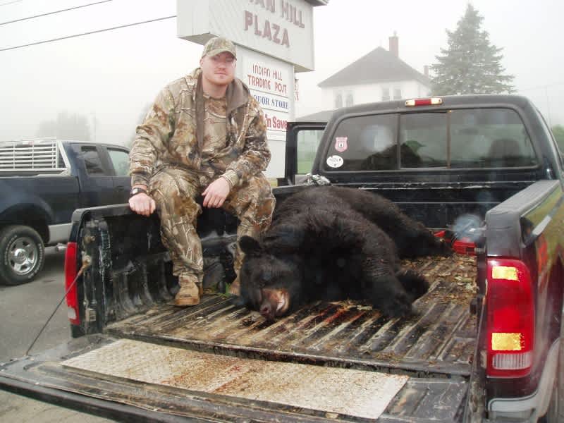 Nearly 700-pound Black Bear Shatters Maine State Record
