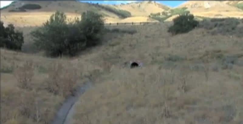 Hiker Survives Four Days Trapped in a Drainage Tunnel with a Broken Leg