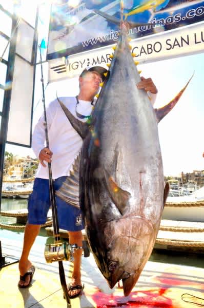 The Yellowfin Tuna That Could be Worth $1 Million for “The Lucky One”
