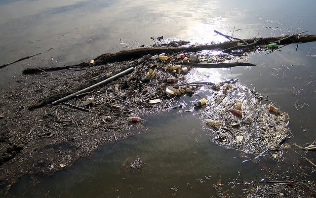 Until Anacostia River Quality Improves, Officials Warn Not to Consume Fish