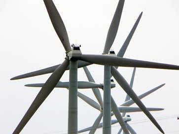 Conservation Groups Call for Changes at Nation’s Most Deadly Wind Power Development
