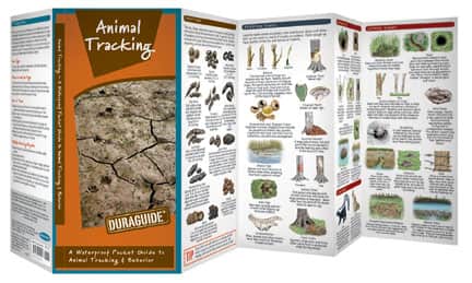Waterford Press Introduces Animal Tracking and Field Dressing Game, Essential Guides for Every Hunter’s Pack