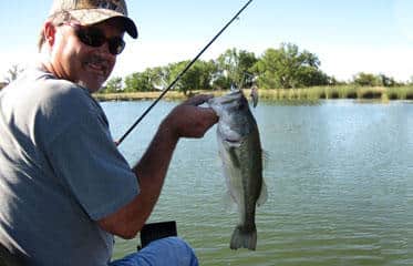 Fall Bass Sampling Reveals Fishing Hotspots in Kansas
