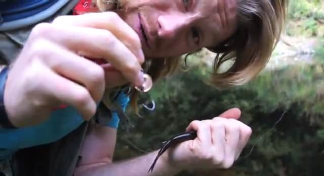 Video: Do-it-Yourself Lure That Only Costs a Penny