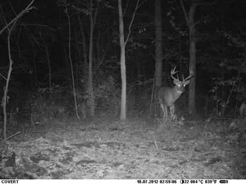 Covert code black trail camera discount
