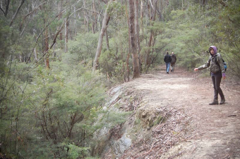 Top 10 Bushwalking Destinations in New South Wales