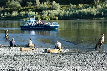Oregon’s Rogue River Seine and Umatilla River Fish Counts