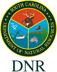 South Carolina DNR Says: Baiting Deer in Black Bear Range Not Wise