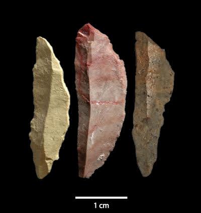 Stone Age Lethal Weapons Likely Used to Kill Animals and Humans Found in Africa
