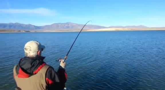 Video: Massive Pike May Have Been a Utah State Record