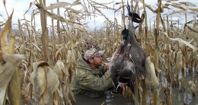 Tough Times Breed Good Duck Hunts in Mid-Michigan