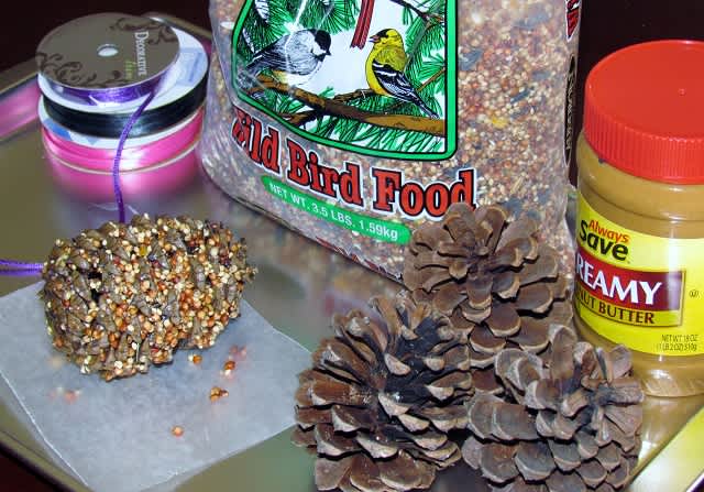 A Great Outdoor Family Project: Make a Bird Feeder Together