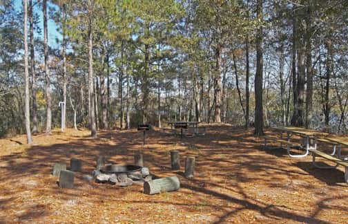 Georgia’s Reed Bingham State Park Opens Eagle Island Campsite