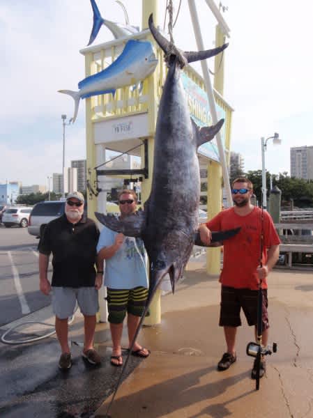 Long-standing Virginia Swordfish Record Crushed by Tenacious Angler