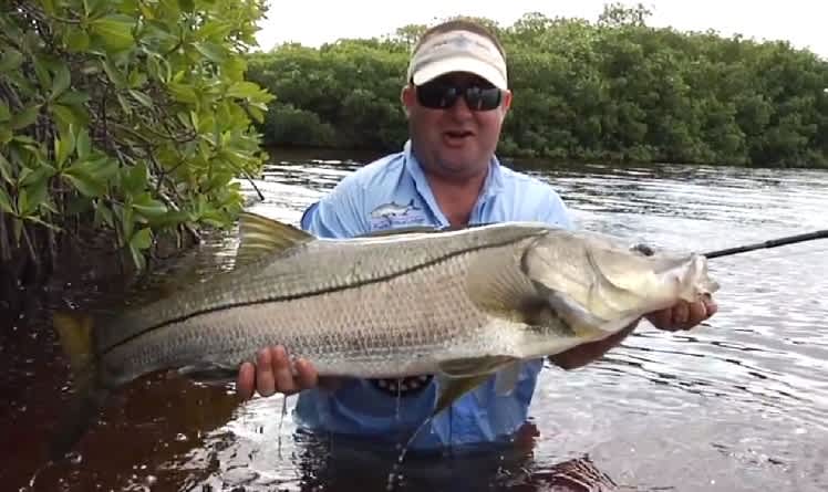 Video: Mexico Inshore Fly Fishing