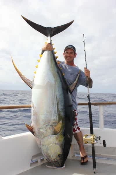 Two Massive Yellowfin Tuna Catches Competing for World Record