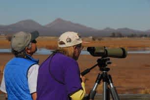 Volunteer Opportunities Available at Christmas Bird Count Events in Arizona