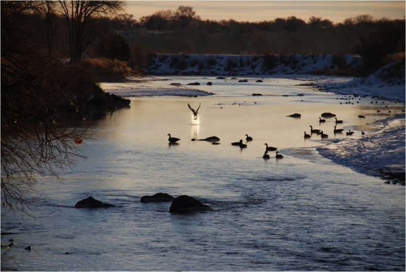 Colorado’s Lake Pueblo Hosts Second Annual Nature Photography Contest