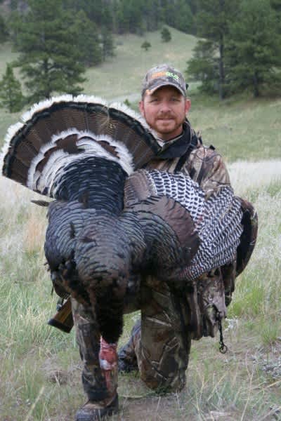 15 Common Turkey Hunting Questions Answered by the Pros