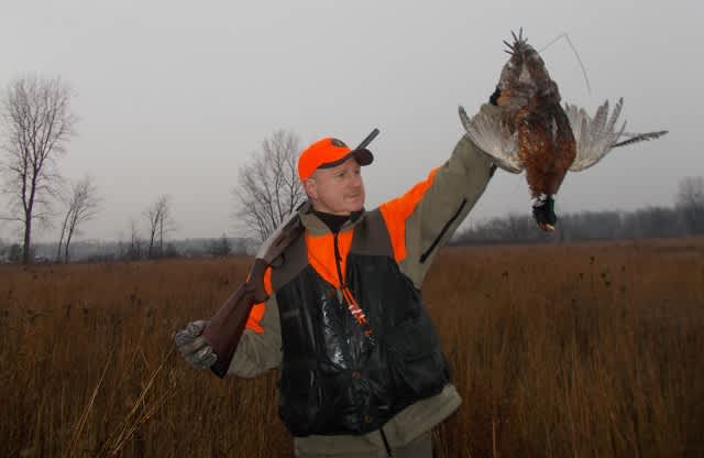 Preserving Michigan Pheasant Hunting: A Long Road Ahead