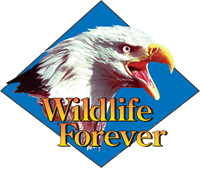 Wildlife Forever Celebrates 25 Years of Conservation