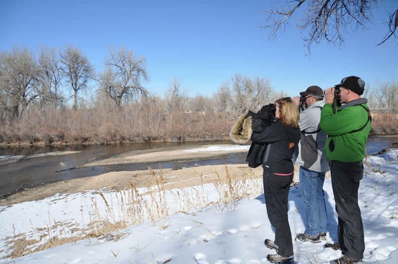 Chatfield State Park Hosts 59th Annual Denver, Colorado’s Christmas Bird Count