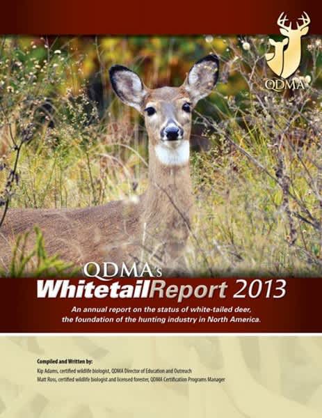 QDMA Releases 2013 Whitetail Report