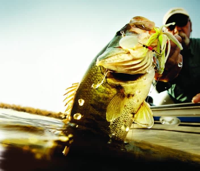 Win the Ride of a Lifetime with Humminbird Bassmaster Promotion