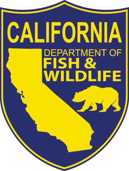 California Outdoors Q&As: Are Hatcheries Producing Triploid Trout?