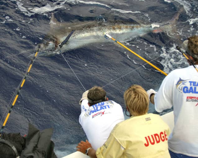 Next IGFA Tournament Observer Training Course Scheduled for February 16th
