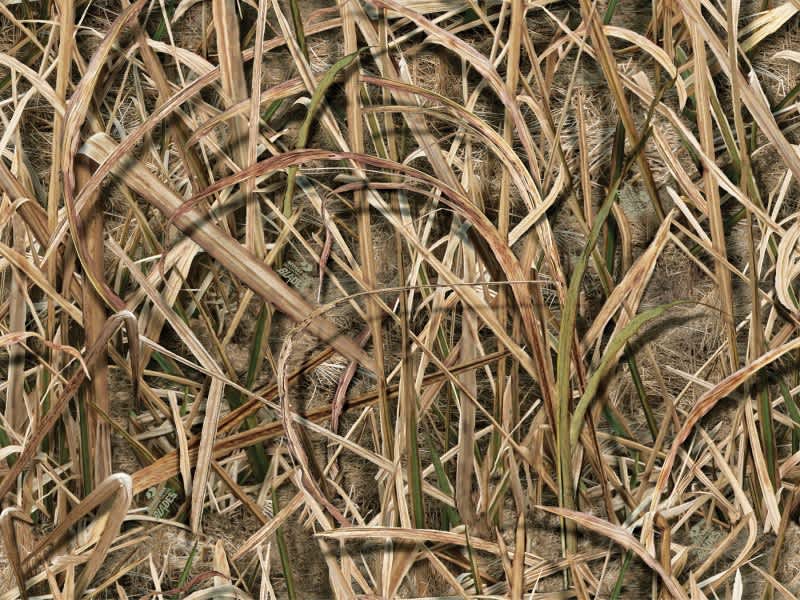 Introducing the Latest Pattern from Mossy Oak: Shadow Grass Blades