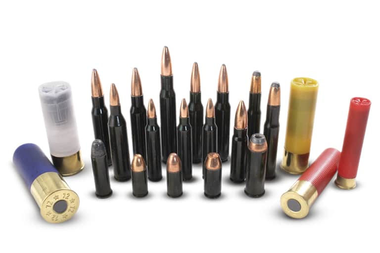Traditions Performance Firearms Introduces Training Cartridges for 2013