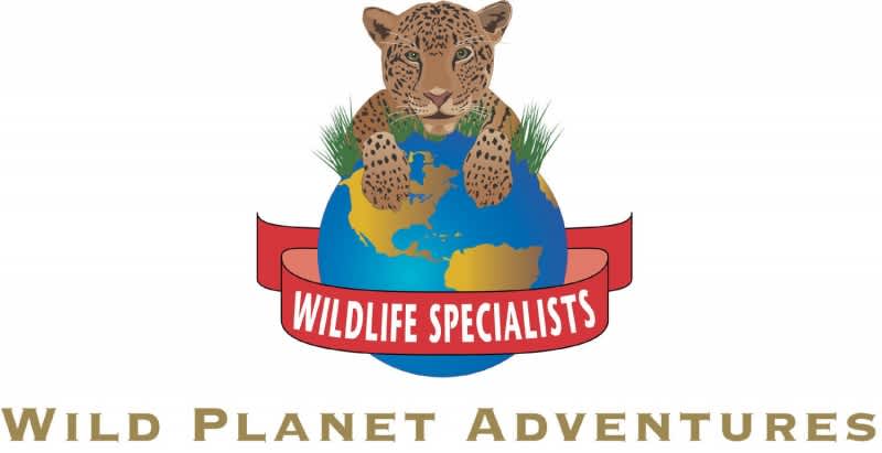 Wild Planet Adventures’ 12-Day Borneo Exploration
