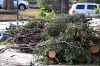 Use that Storm Debris for Brush Piles, Smoking in Arkansas