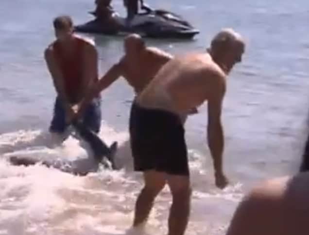 Video: British Grandfather Gets Physical to Save Children from Shark