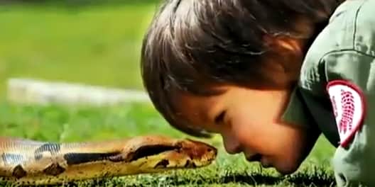 Video: Three-year-old Playmates with Crocodiles and Pythons