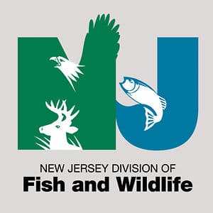 Best New Jersey Trout Fishing Starts Now