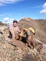 Exclusive California Desert Bighorn Tag Auction at 41st Annual SCI Hunters’ Convention
